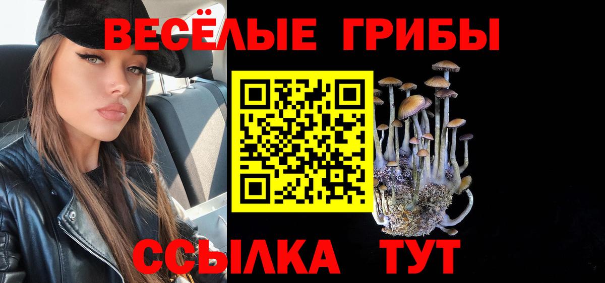 Псилоцибиновые грибы прущие грибы  Вход с VPN  Курганинск 
