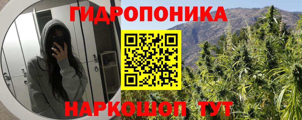 Канабис OG Kush  Конопля гибрид  Вход с VPN  Курганинск  Бошки Шишки гибрид 